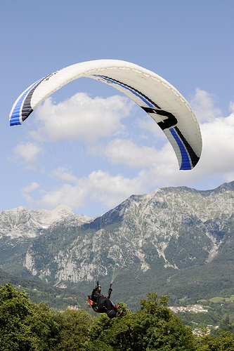 Parapendii
